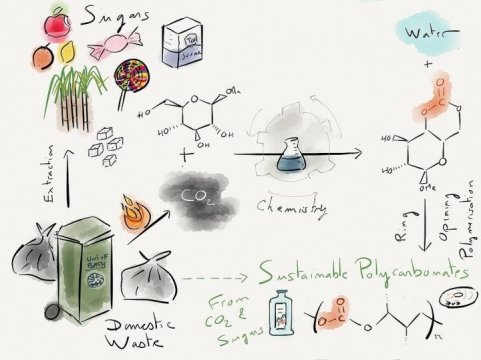 This is a graphic showing how sugar and carbon dioxide is converted to plastic.
