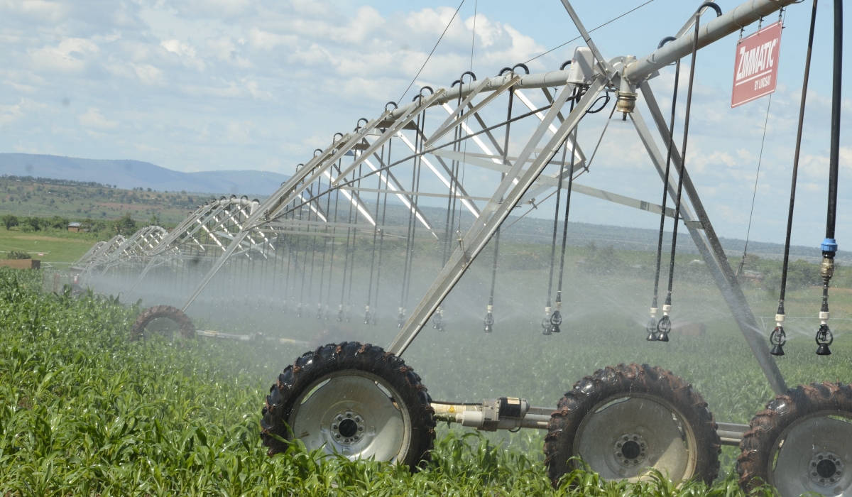 A view of Nasho solar powered irrigation project in Eastern Province.