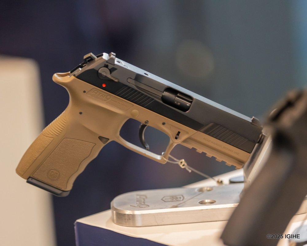 Individuals with legal authorization are permitted to possess light firearms.
