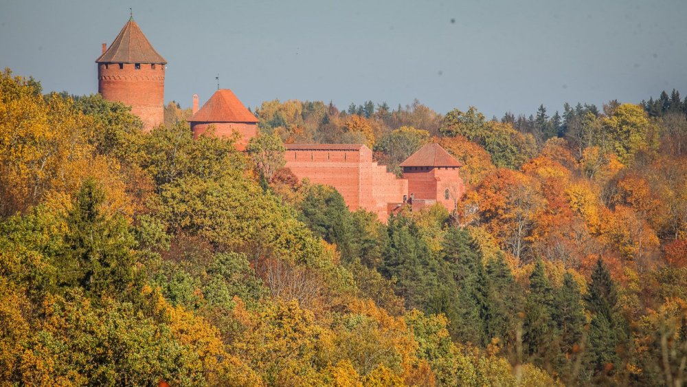 Latvia's landscape features rolling hills and dense forests.