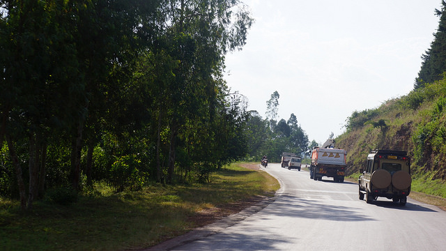 Convoy transporting lions to Akagera National Park