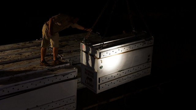 Offloading the lions