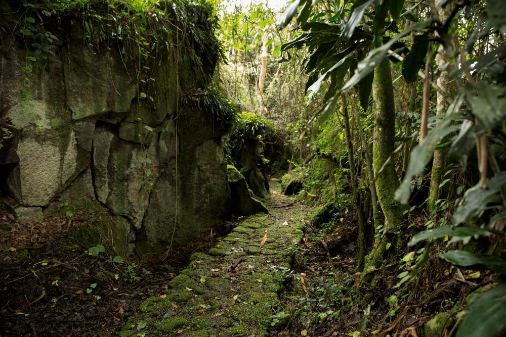 Buhanga Eco Park is a sacred place steeped in the traditions of Rwanda’s monarchy.