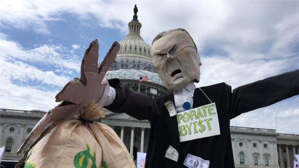 Police arrested protesters at US Capitol