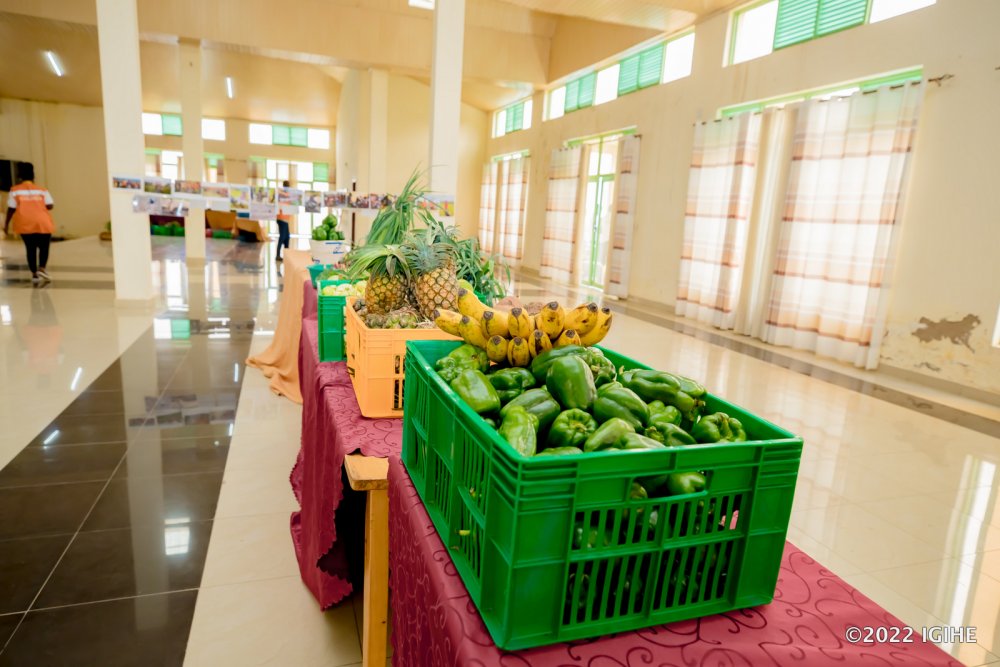 Women-headed households have become food-sufficient and make a surplus for the market. 