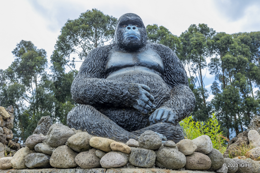 he Development of peaple in the North bases largely on the touristic activities in the Volcanoes national park