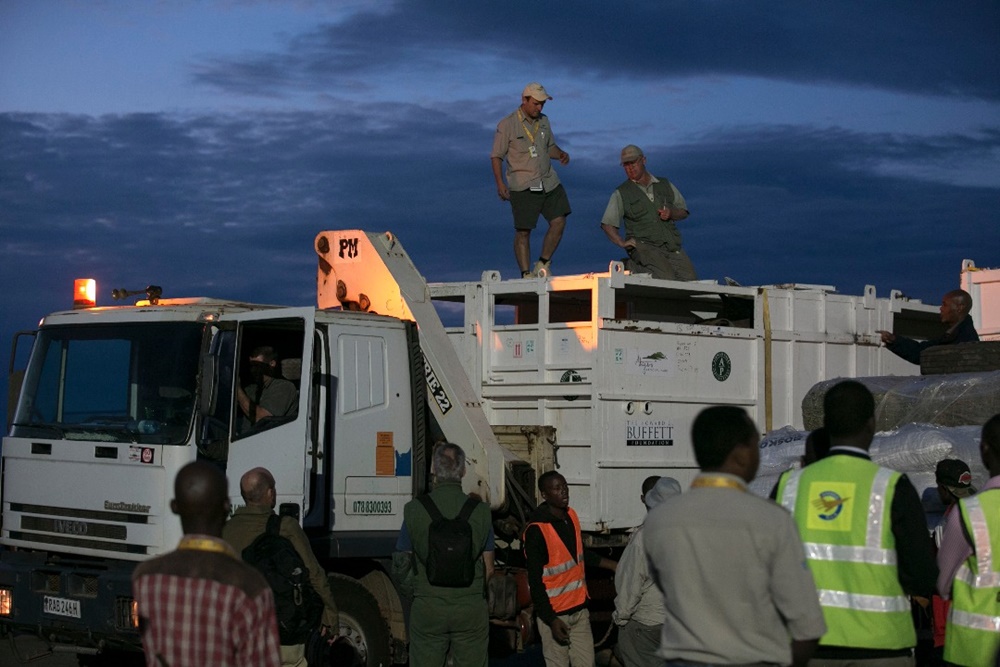 African Park employees loading crates containing black Rhinos.