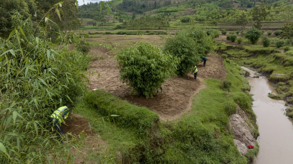 The organization has played a crucial role in protecting the country’s riverbanks through the planting of bamboo, which helps in soil conservation and prevents erosion.