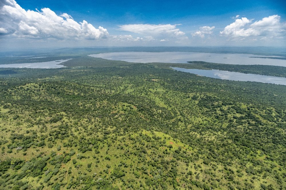 Akagera National Park is celebrated for its numerous lakes, each enhancing the park’s captivating charm.