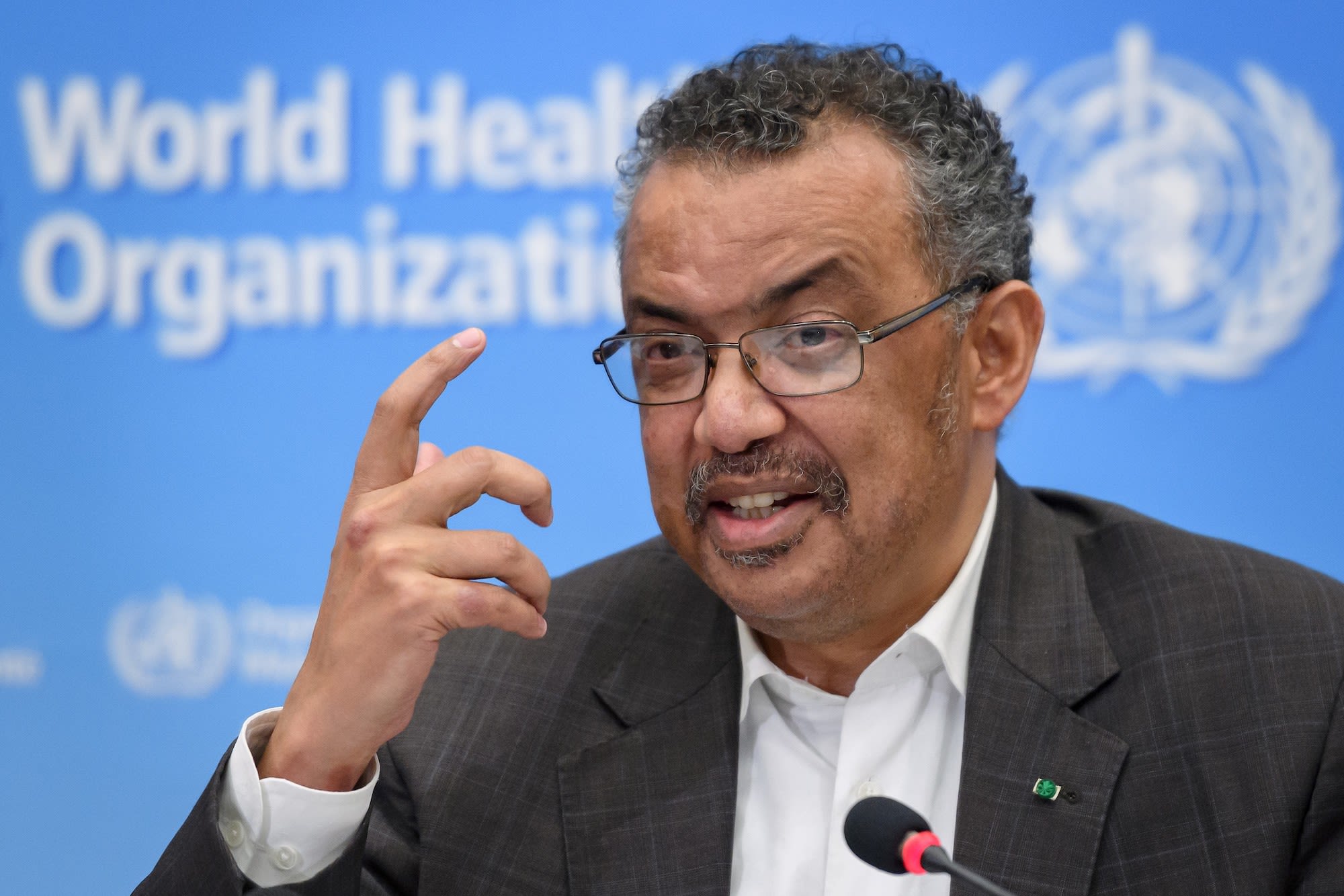 World Health Organization (WHO) Director-General Tedros Adhanom Ghebreyesus on Saturday depicted as "untrue" the reasons given by the United States for its withdrawal from the global health watchdog.