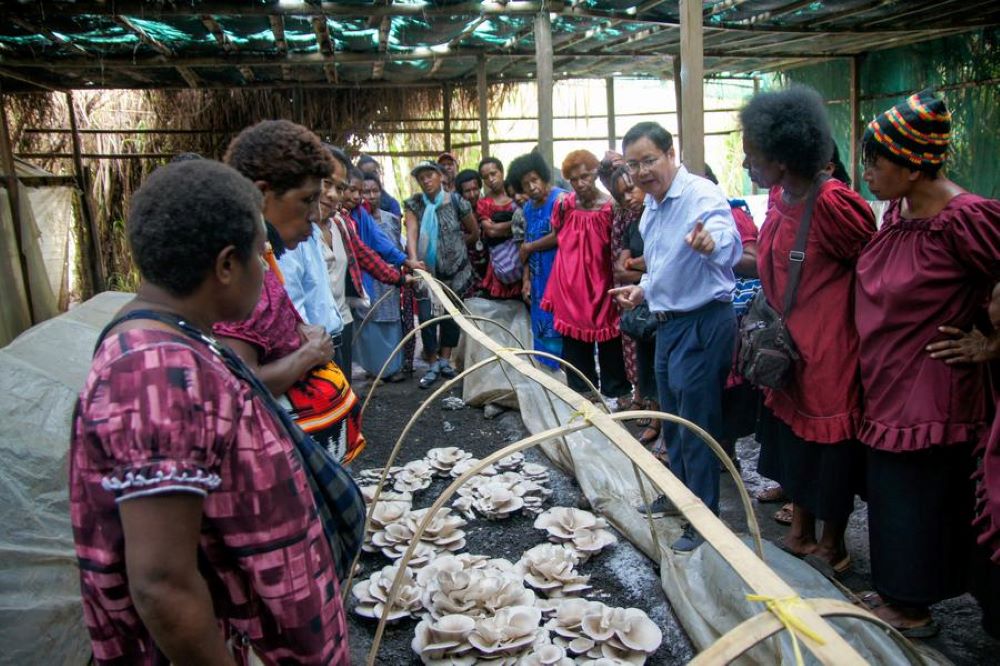 Lin Yingxing (C), specialist from the Fujian Agriculture and Forestry University, explains Juncao, which in Chinese literally means "mushroom" and "grass," to local residents in the Eastern Highlands Province of Papua New Guinea, Dec. 19, 2019. (Photo by Hu Yingping/Xinhua)