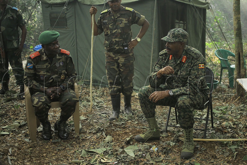 The governments of the Democratic Republic of the Congo (DRC) and Uganda have agreed to expand Operation Shujaa, their joint military campaign, into Bunia, Mahagi, and Djugu territories in Ituri Province.