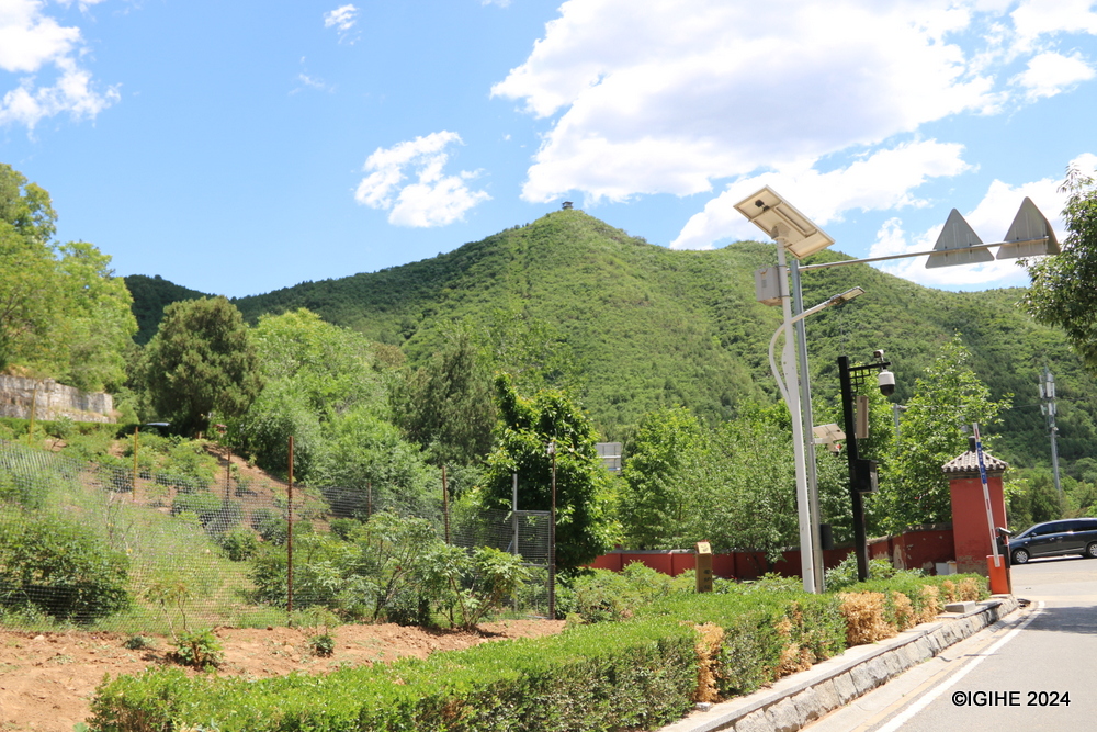 The temple's expansive grounds, climbing the hillside, provide a tranquil retreat shaded by ancient cypresses and pines, perfect for a peaceful escape.
