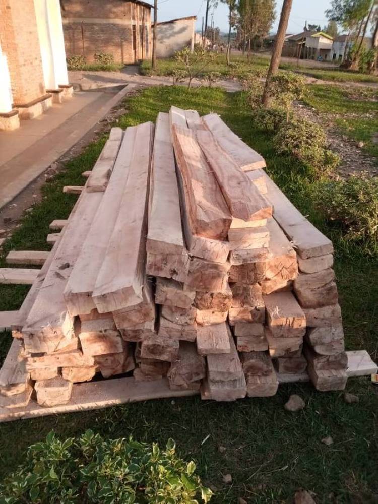 279 timbers which they made out of the protected trees.