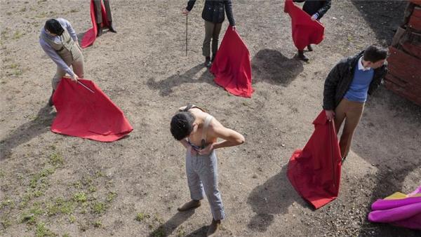 Although some teenagers continue to dream of becoming bullfighters, the likelihood of those dreams coming true appears to be declining