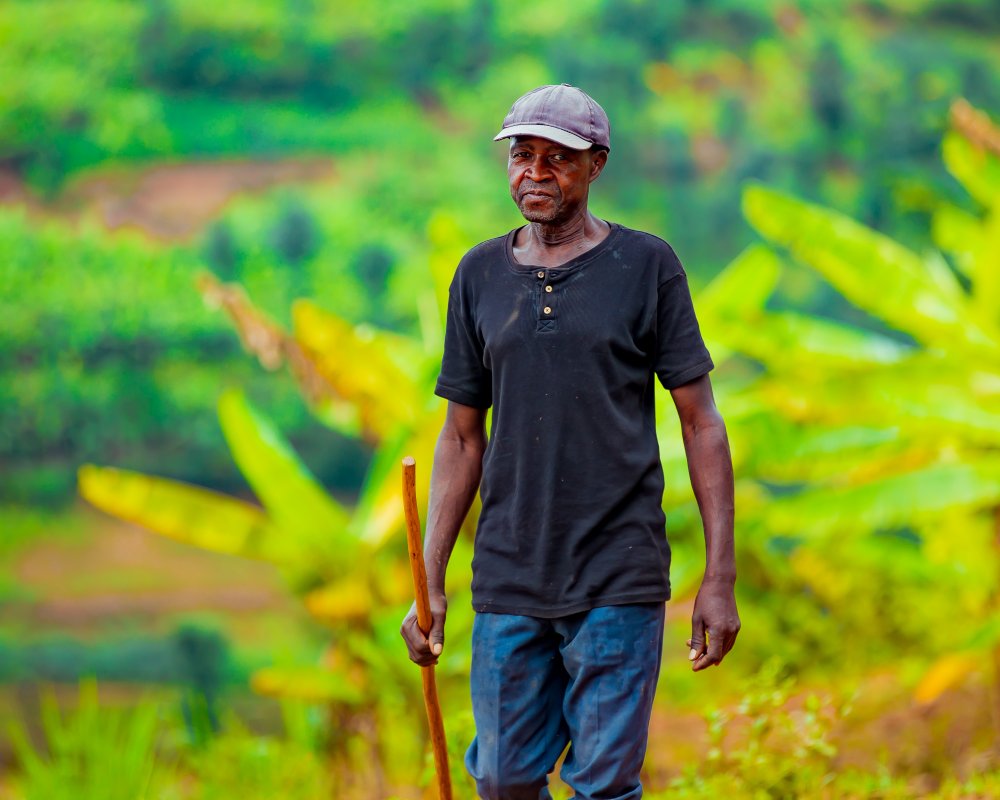 In his home area of Murundi Sector, Karongi District, Habiyaremye became widely known for the sheer number of people he killed during the Genocide against the Tutsi. 