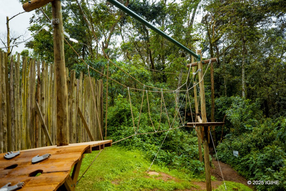 The first section consists of a rope-walking journey.     