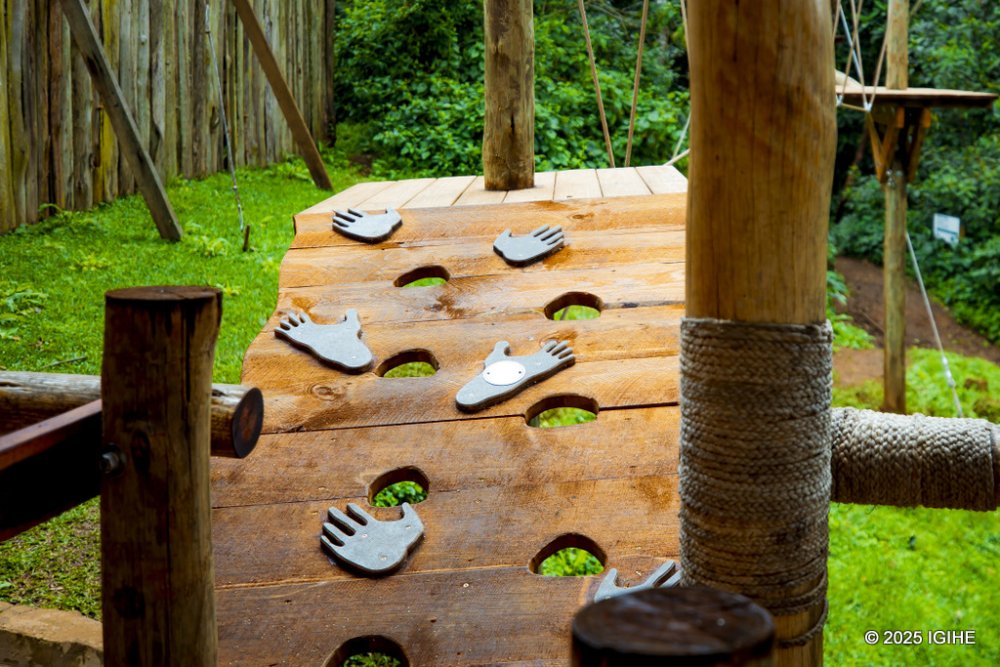 The starting section of the course showcases the movements of chimpanzees. 