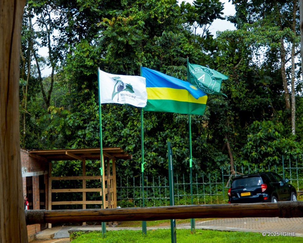 The rope course and other attractions are part of Rwanda’s broader strategy to leverage natural heritage for sustainable tourism growth. 