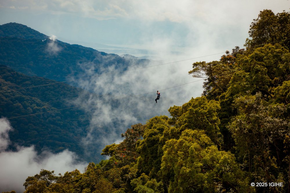 Nyungwe National Park has introduced new aerial experiences that allow visitors to enjoy the scenery from above.