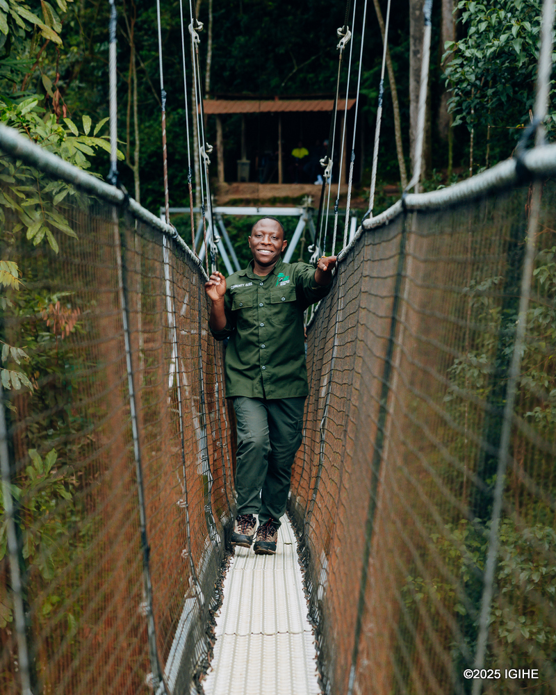 After ziplining, the group proceeded to the Canopy Walk, a suspended bridge that provided a bird’s-eye view of the rainforest.