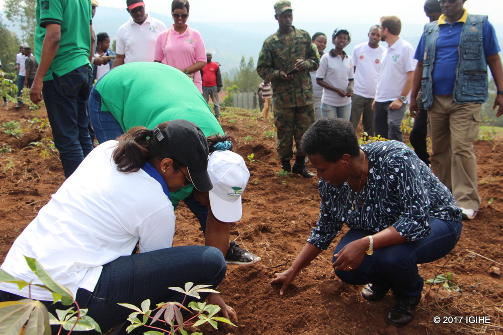 Rotary is a global network of 1.2 million supportive ministries that bring positive and lasting solutions and change in their cities and abroad. Planting trees is one of the many solutions they bring