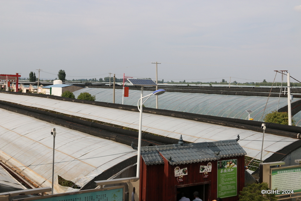 The park now boasts a vast number of plastic greenhouses spread over 666.7 hectares.
