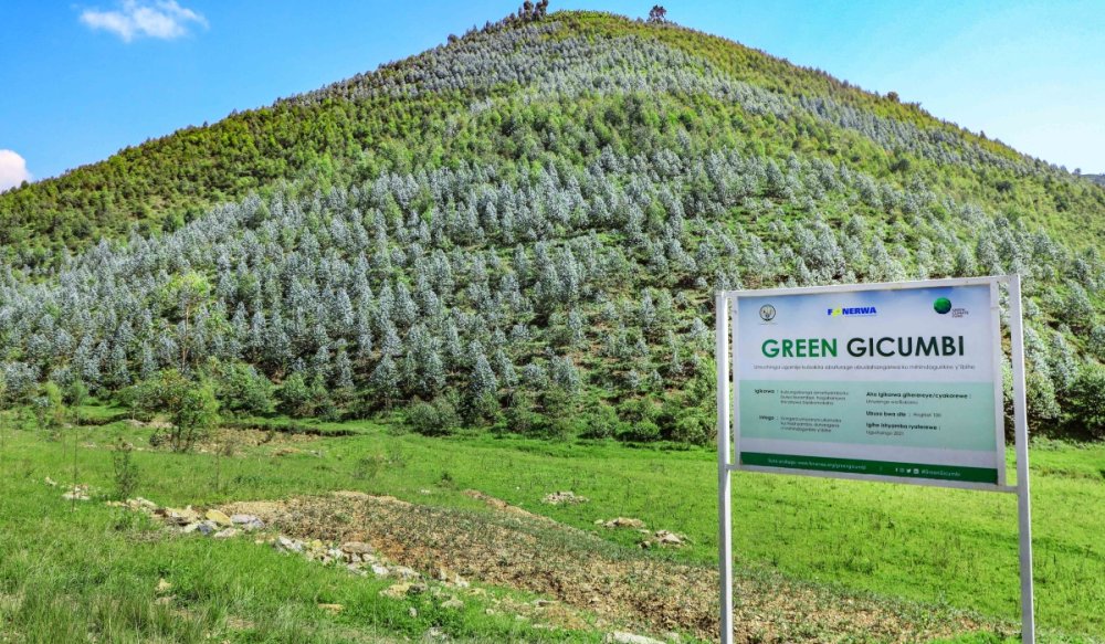 The Green Gicumbi Project, which began in 2019 and aims to help communities in the Northern Province adapt to climate change.