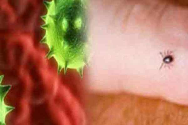 Six patients have died due to Congo virus this year