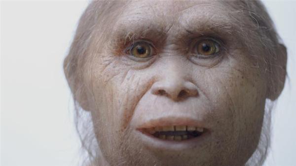 The species, called Homo floresiensis, stood about 106cm, possessing a small, chimpanzee-sized brain