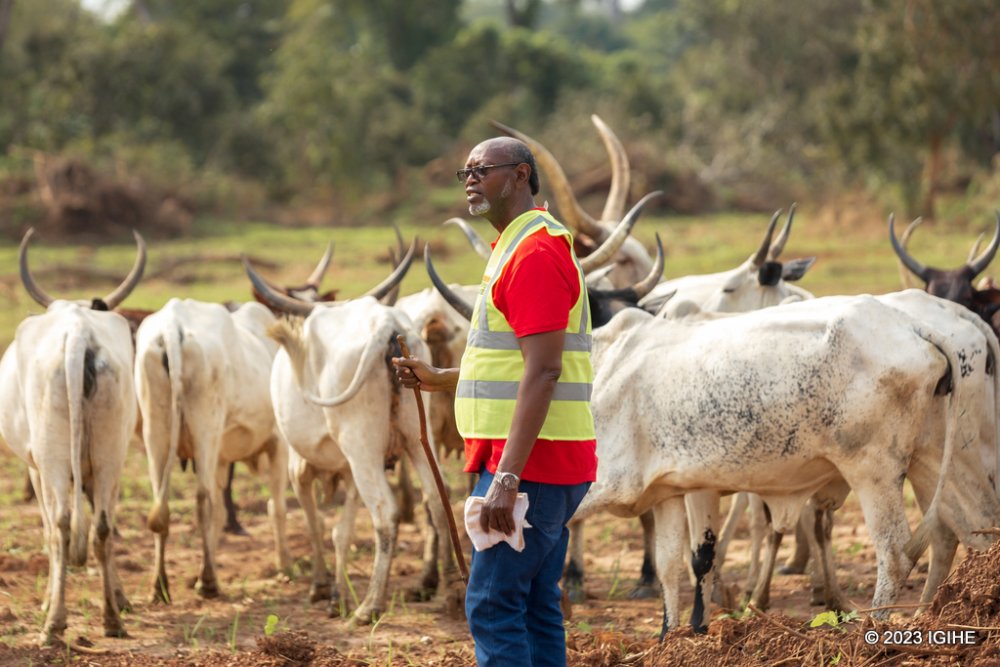 Nsengiyumva, known for his deep affinity for cattle, is not only a shrewd businessman but also an interactive individual.
