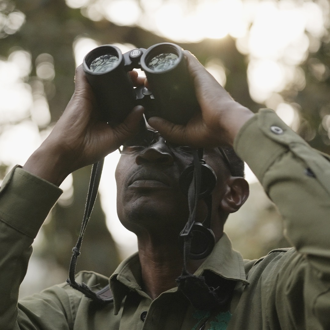 As a ranger, Claver Ntoyinkima has played a vital role in primate habituation and anti-poaching patrols, while also guiding scientific research and bird conservation efforts across Rwanda.