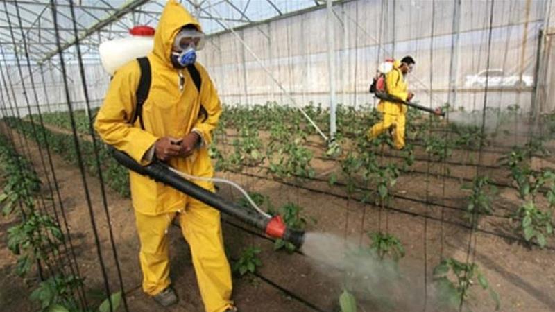 Farmers are among those affected most by pesticide poisoning.