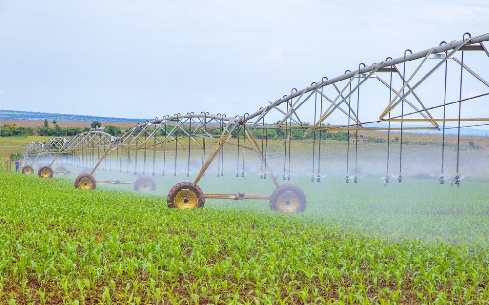 ‘Nasho irrigation Scheme’ supporting 2100 families from 14 villages and 4 cells in Nasho and Mpanga, Kirehe district.