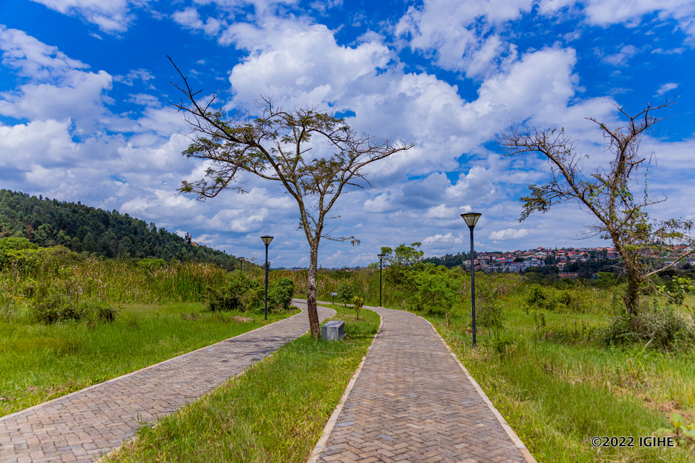  Nyandungu Urban Wetland Eco-Tourism Park has more than 62 indigenous plant species. 