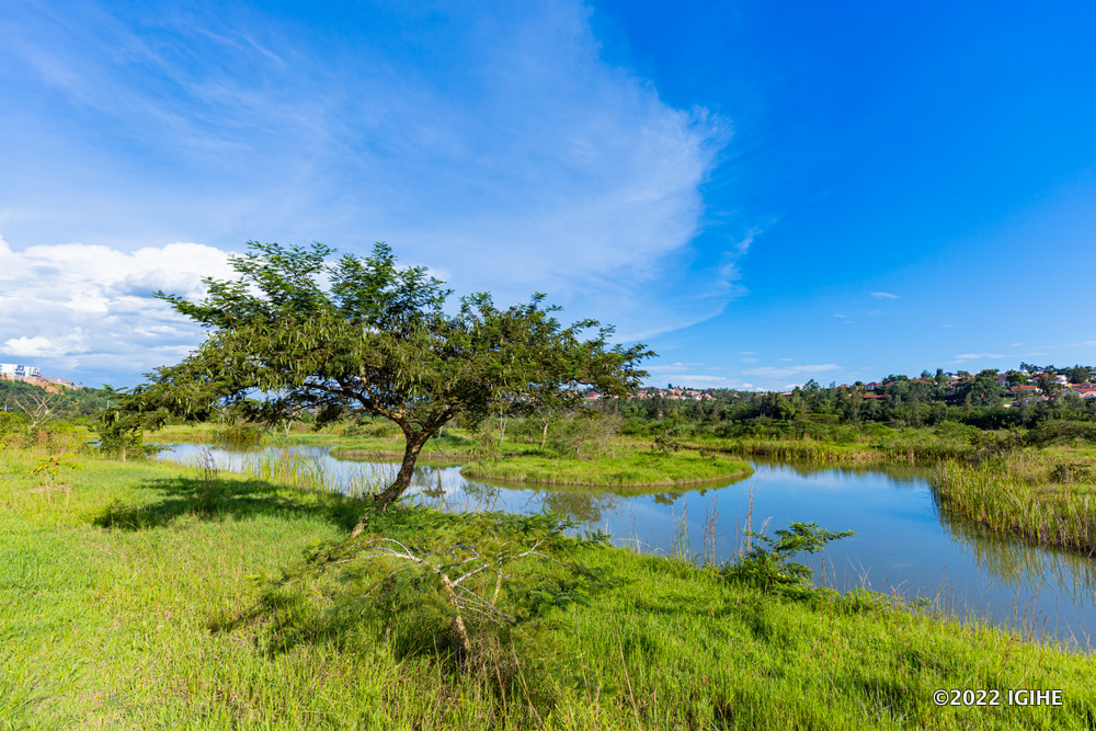Nyandungu Eco-Park is among top recommended places for nature lovers.
