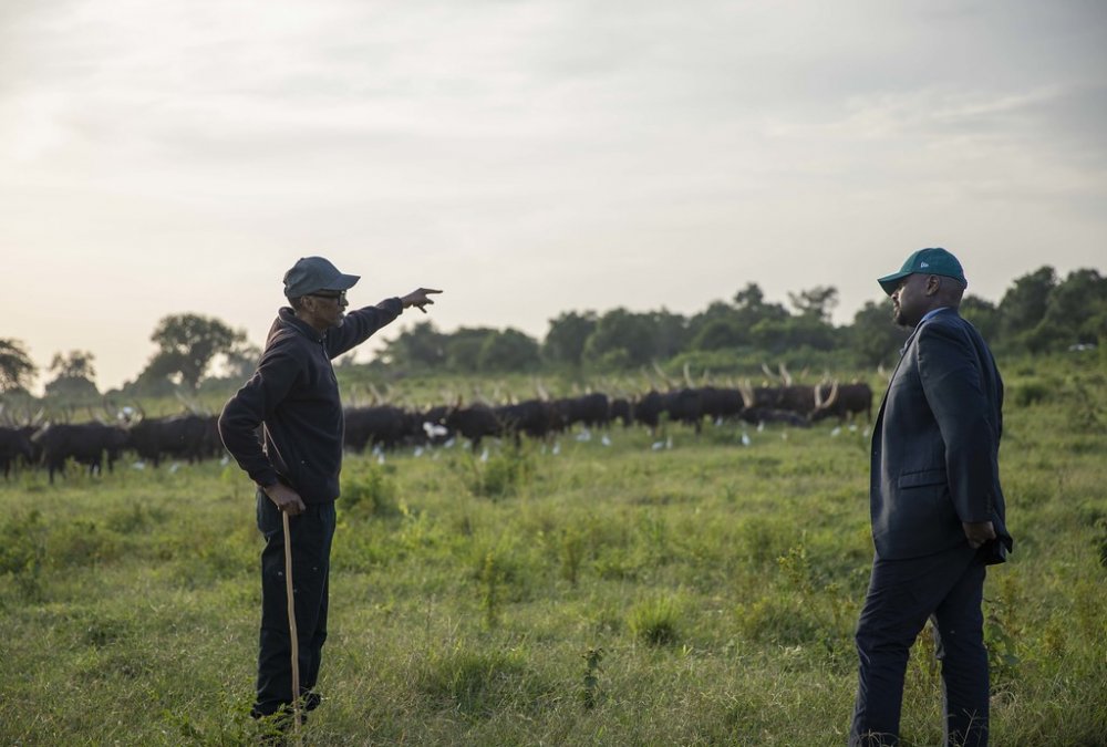 President Kagame gifted ten long horned cows to Gen Muhoozi in March 2022. 