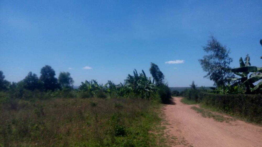 Sebarundi urged Mayange residents to alert authorities about families with conflicts in time in order to prevent such unfortunate incidents.