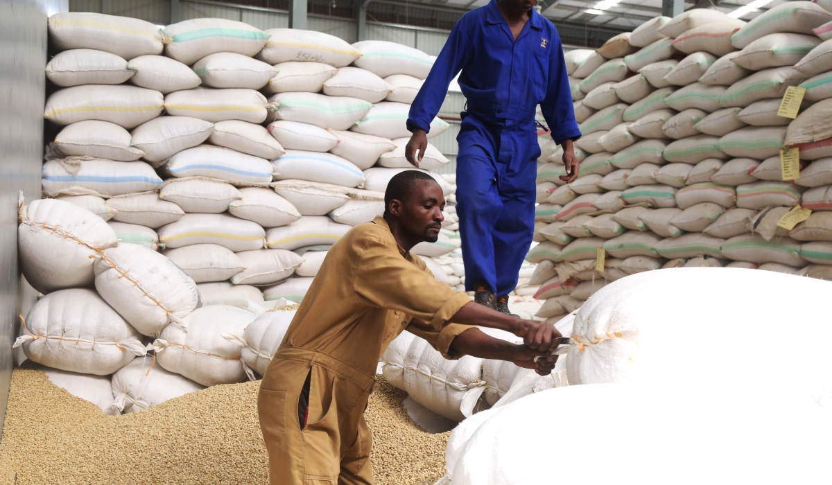 Workers sort coffee for export at Kigali Special Economic Zone. 