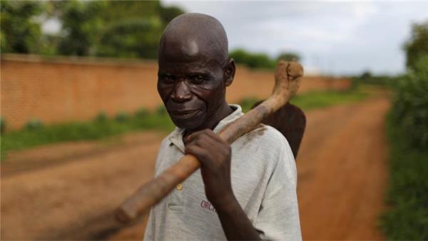 The number of Malawians facing food shortages could rise from the current 2.8 million to 3 million in 2016