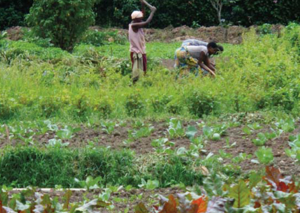Children have a right to a standard of living that meets their needs. Gardens like this one help children have good nutrition for physical and mental development.” Elia Ufitimana (13) and Ester Uwase (14)