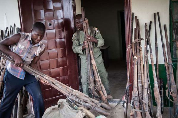 Ranger Hashumu Abdullahi (left) and his assistant, unpacking some of the over 200 confiscated locally made 'Dane guns' at Yankari Game Reserve in northeastern Nigeria.