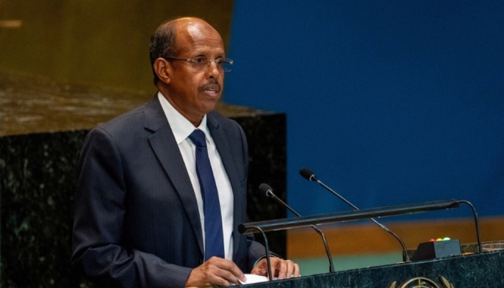Born on September 2, 1965, in Djibouti City, Youssouf is a seasoned diplomat with over 30 years of experience in governance and international relations.