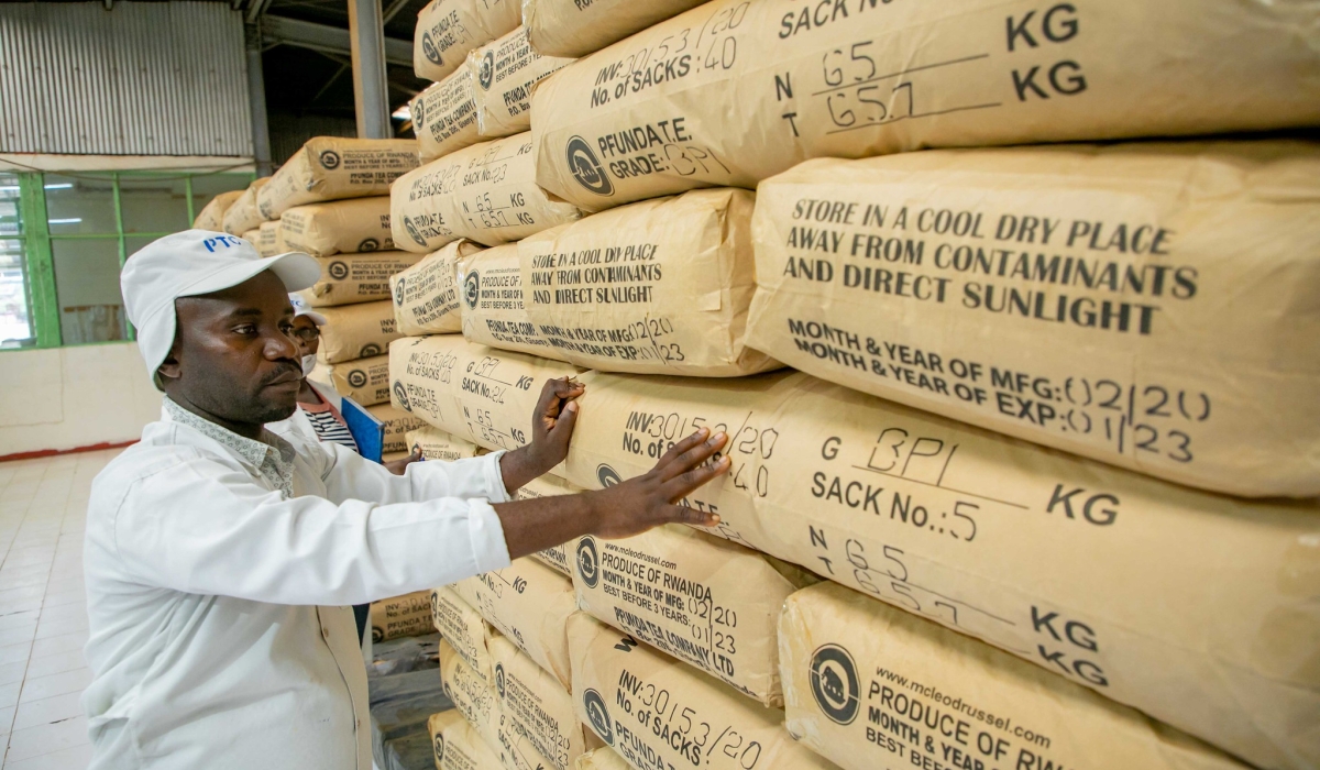 Worker counts packages for export at Pfunda Tea Company. Rwanda’s export producer prices increased by 5.9% in December 2024 compared to the same month last year.