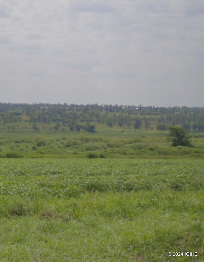 Some areas in the district have been designated as Agricultural zones as a way of ensuring food security