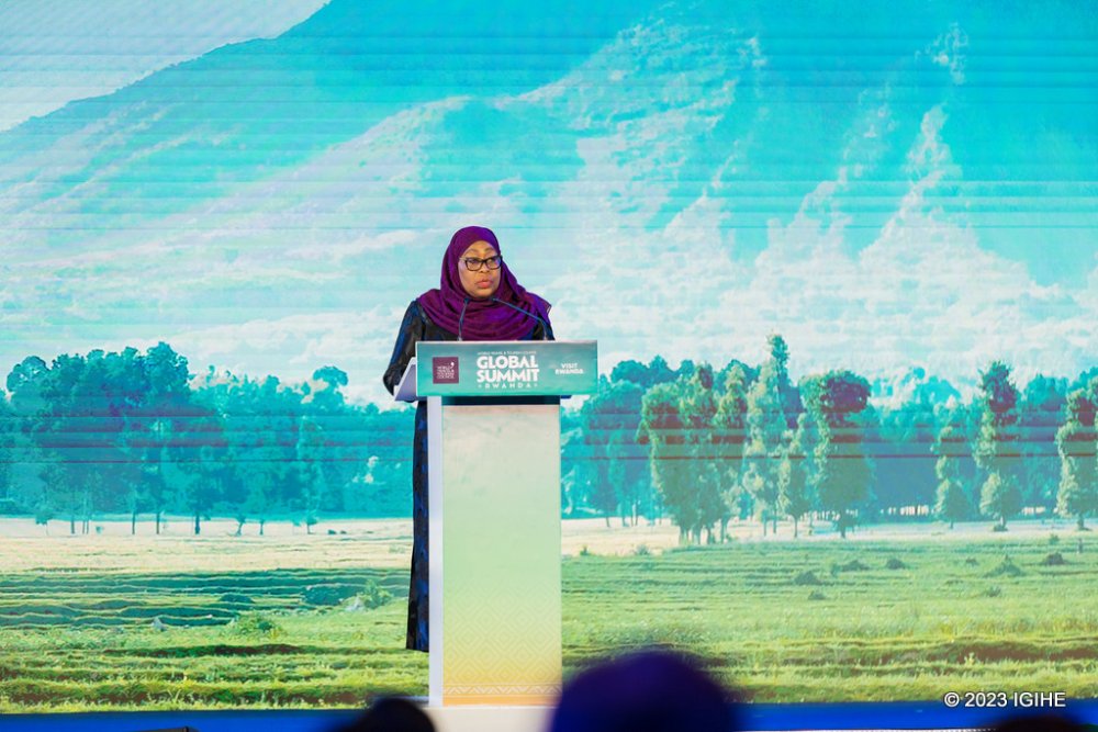Tanzanian President Suluhu acknowledged the role of the private sector in the promotion of tourism in Africa.