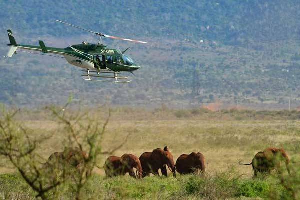 This file photo taken on March 16, 2016 shows a Kenya Wildlife Services veterinary preparing to dart an elephant from a helicopter to set him a newly fitted collar at the Tsavo East National Park.