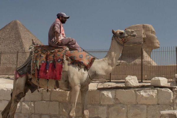 PHOTO: A tour guide sits on a camel in front of the pyramids and Sphinx waiting desperately for tourists.