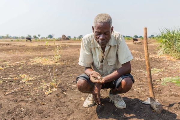 Richard Elias, 63, in his barren cotton fields.