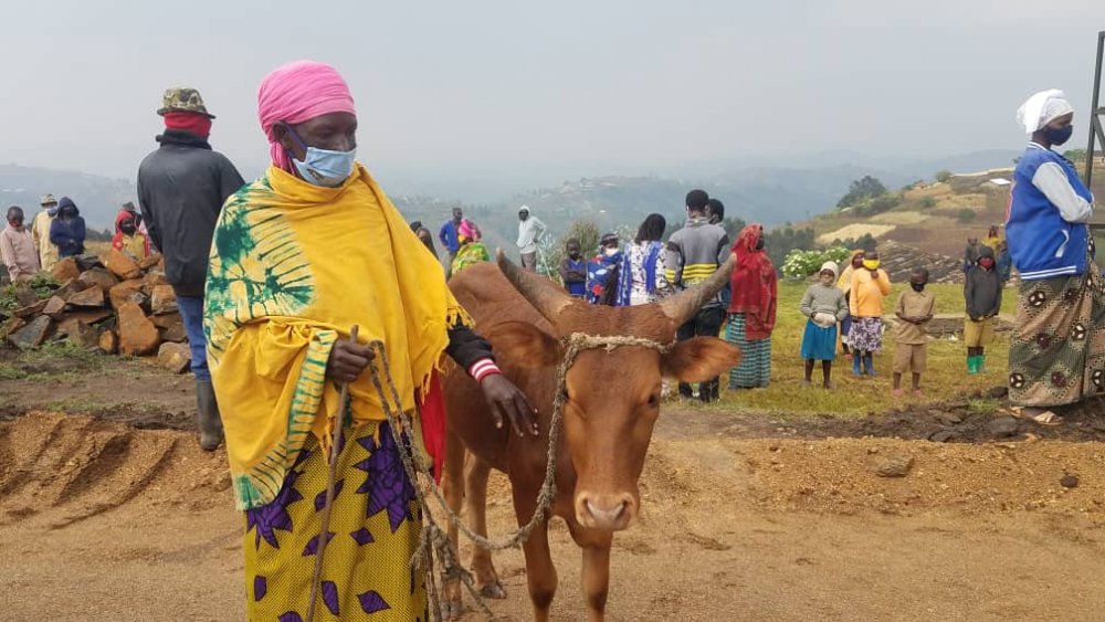 Verediana Mukamisha received her cow stolen on Burundi’s land on 2nd August.